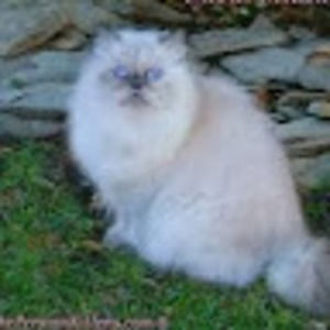 Meet your Posher, Barb